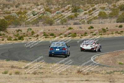 media/May-03-2025-Lucky Dog Racing (Sat) [[206de64b9d]]/Turn 2 (1020am-1120am)/